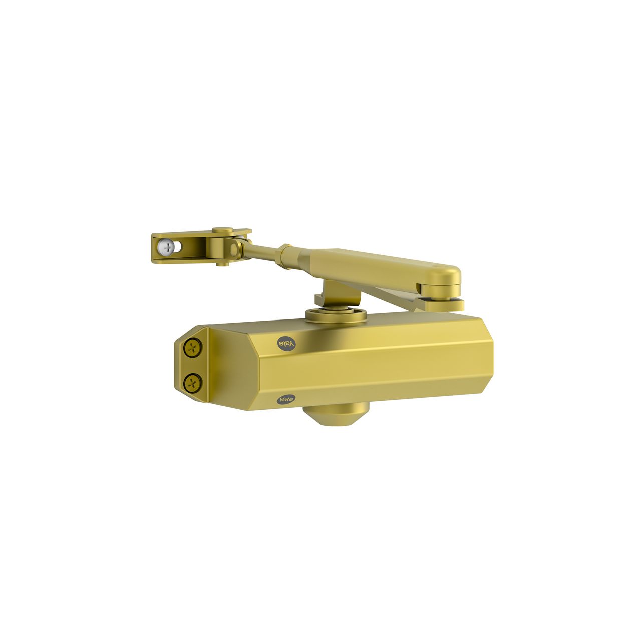 Image: No description