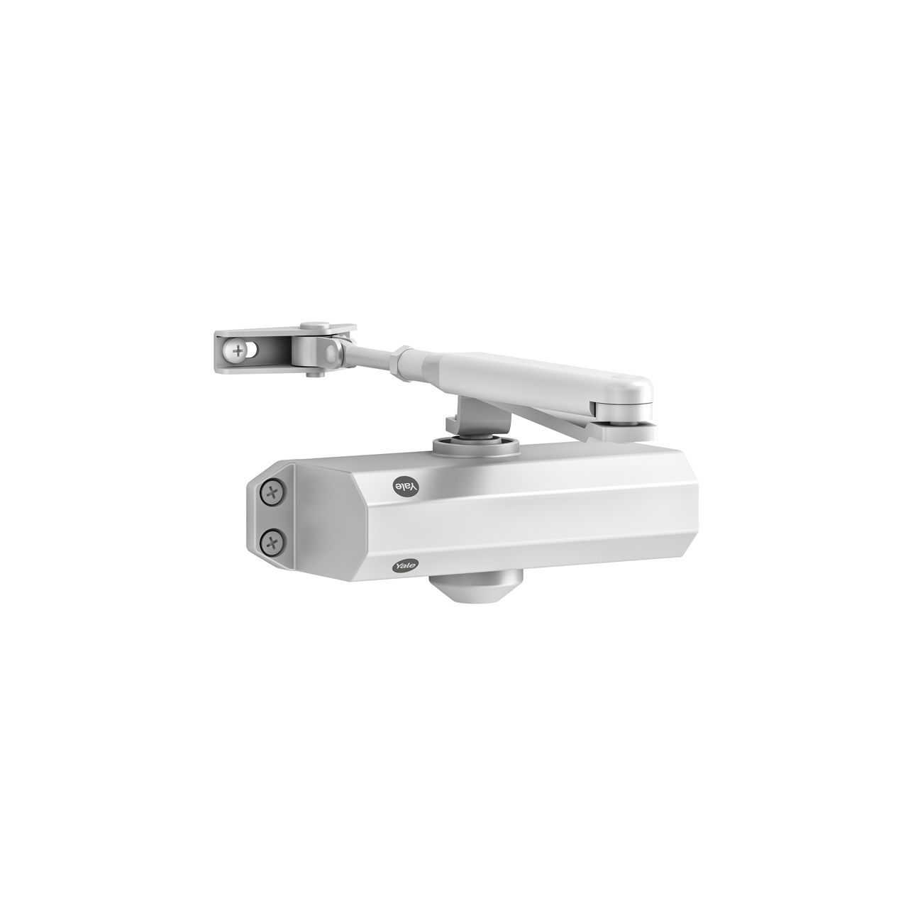 Image: No description