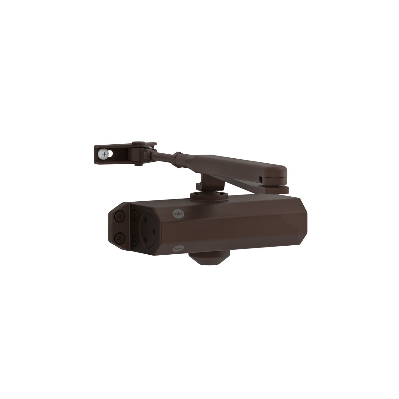 Image: No description