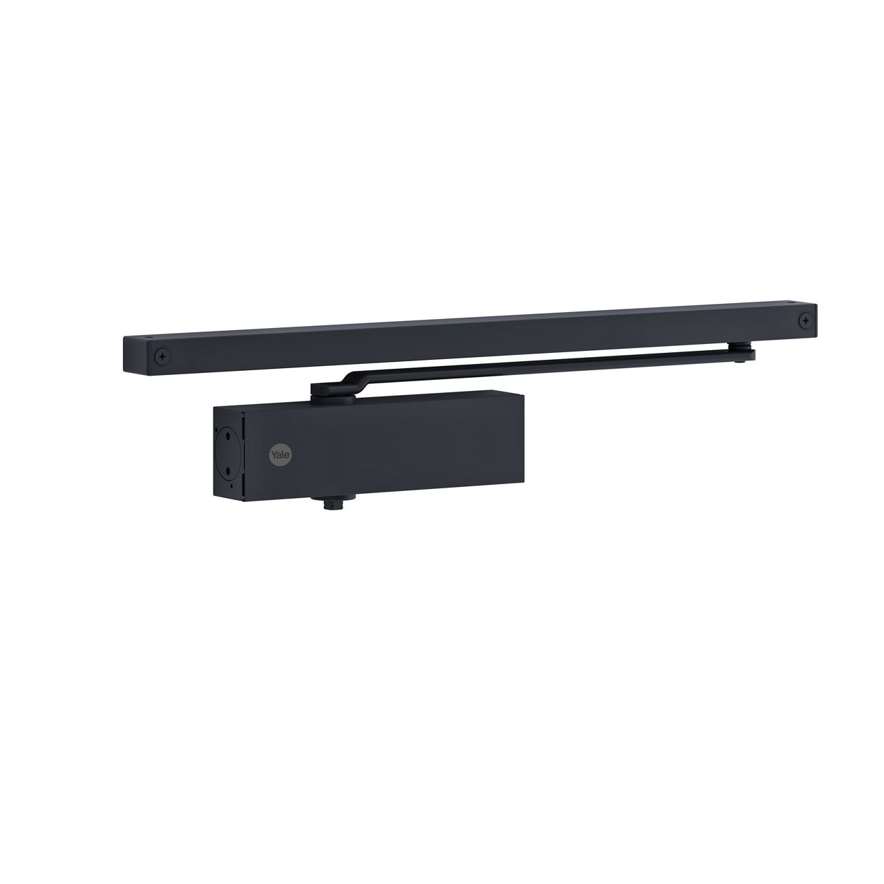 Image: No description