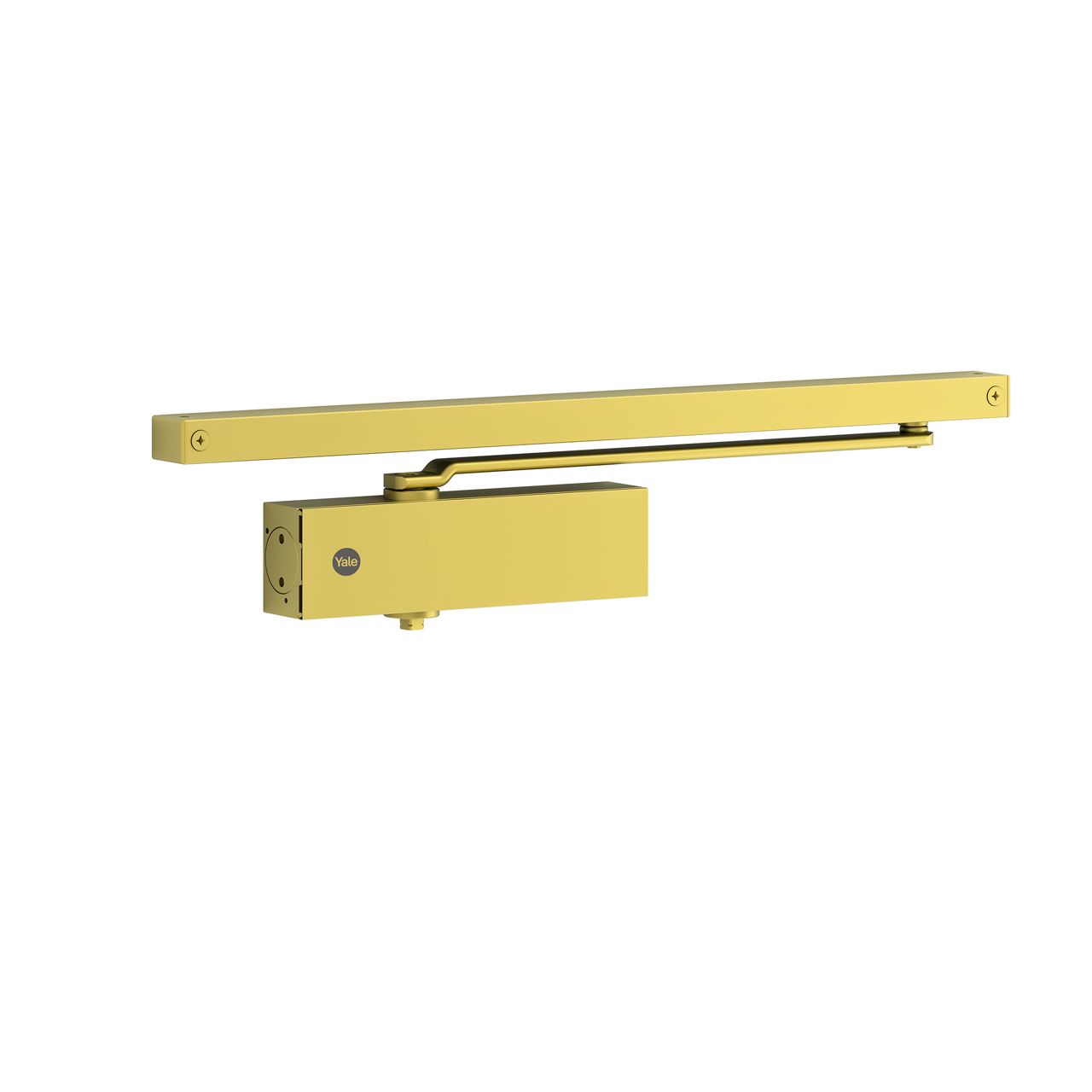 Image: No description