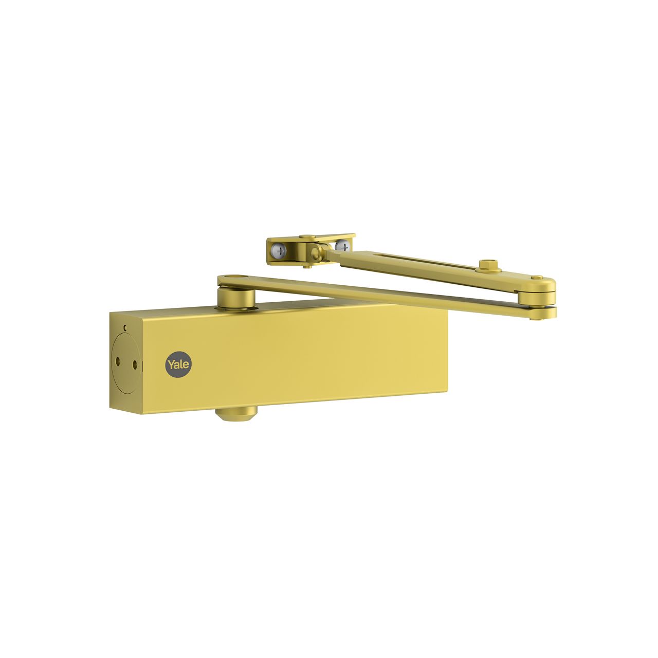 Image: No description