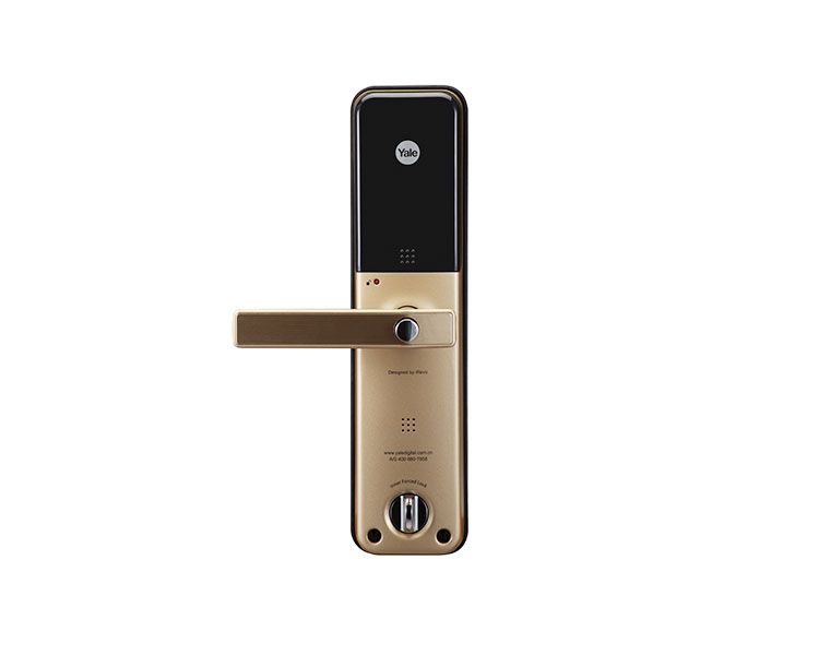 a018d-ydm3211goldback.png