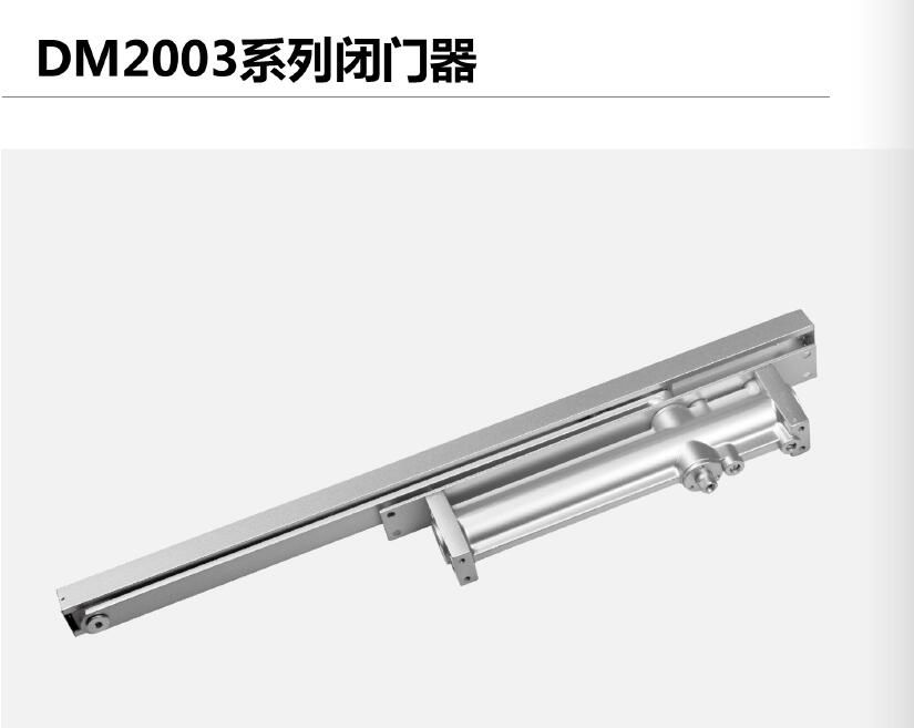 a4e48-dm2003.jpg
