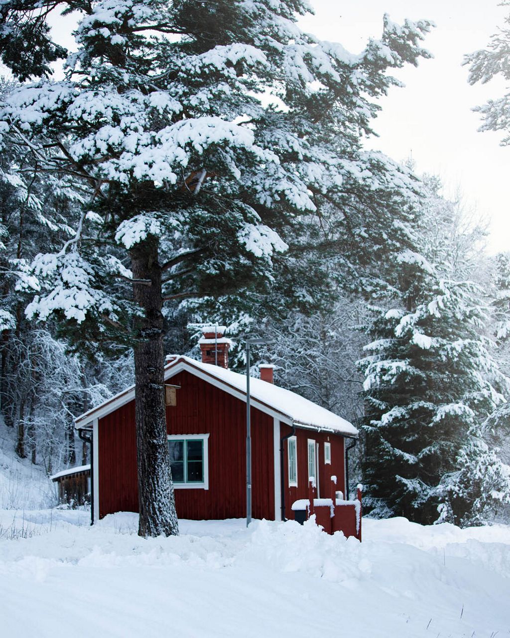 Red cabin in a snowy forest