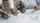 Opbouw leasebedrag automatische deur