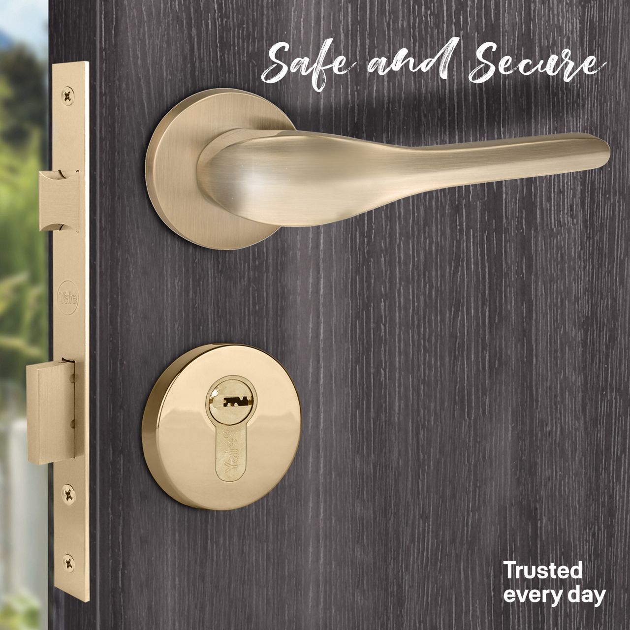 Image: b38e8-1copy.jpg