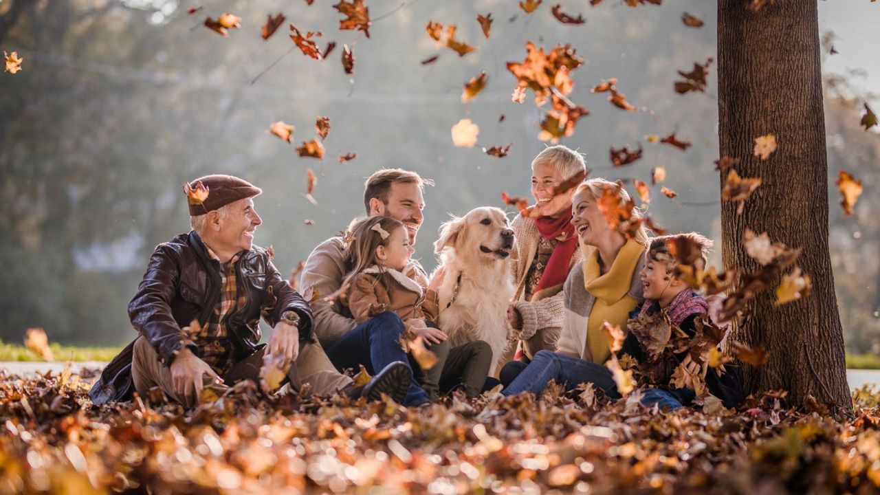 Mensen zitten op de grond met hond