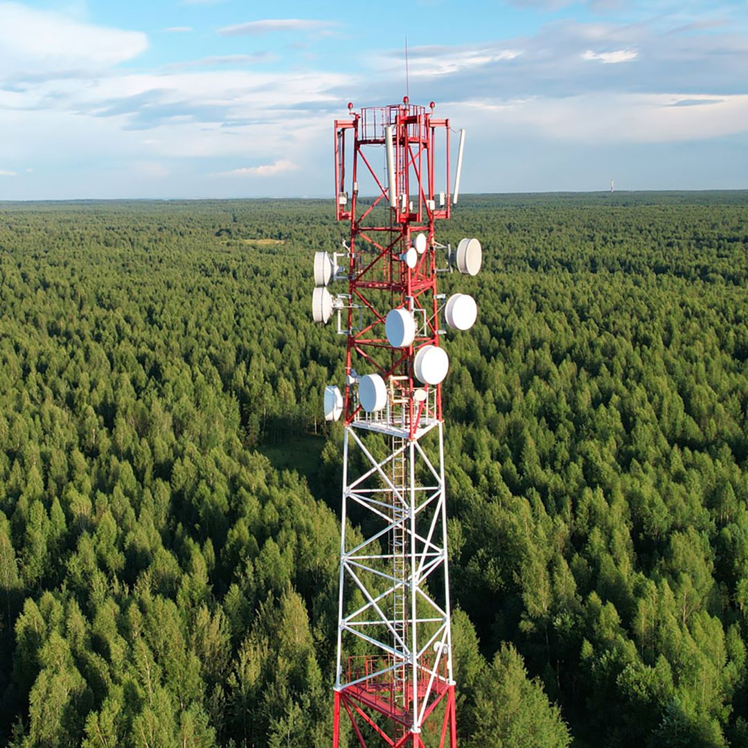 En telemast ute i skogen.