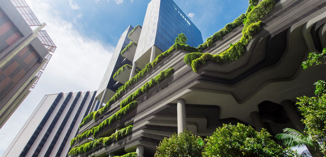 Creative Designs Eco-friendly Hotels Adopt To Attract Travelers