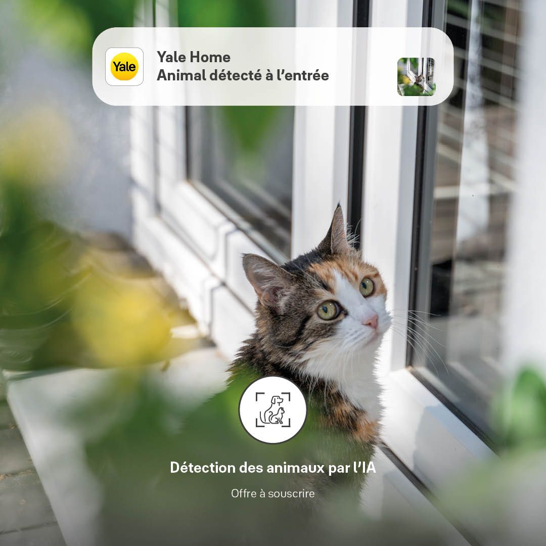 Image: Détection des animaux de compagnie par IA pour les caméras de sécurité