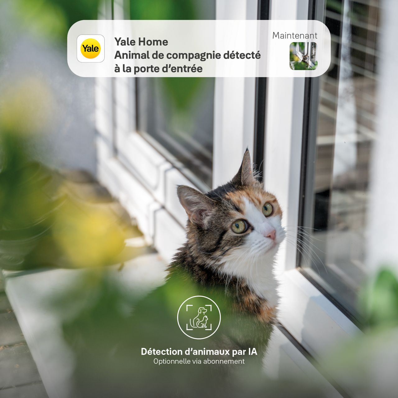 Image: Détection des animaux de compagnie par IA pour les caméras de sécurité