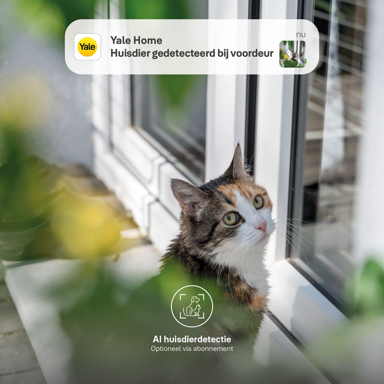 Beveiligingscamera abonnement met AI huisdierdetectie