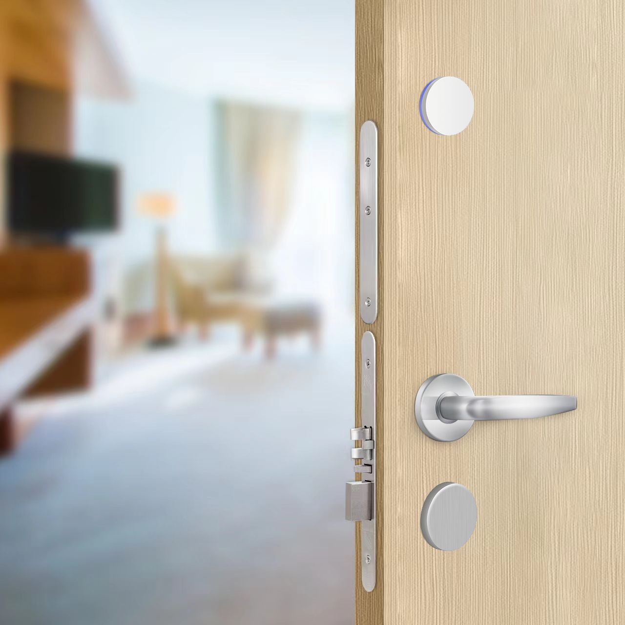 Image: Celestia Image 4