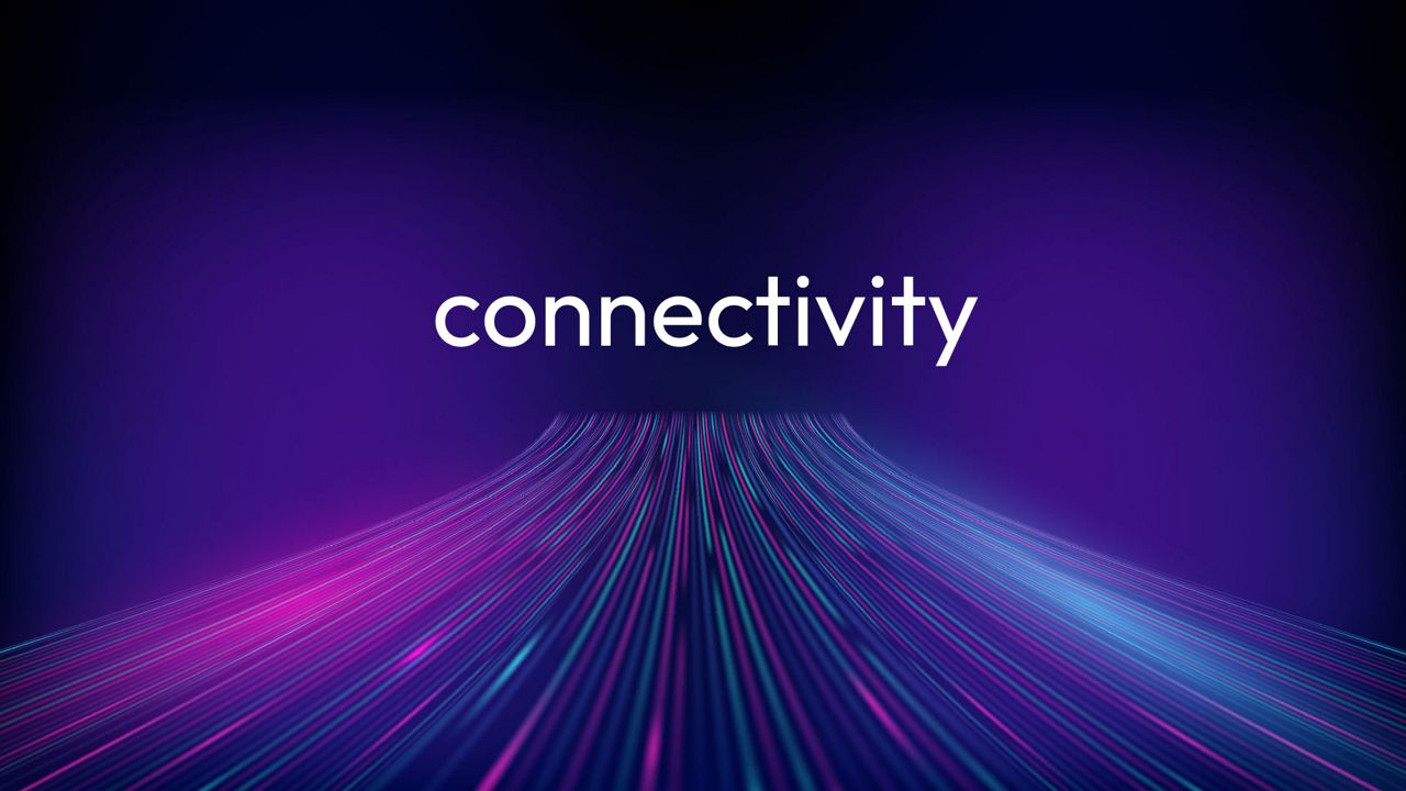 Futuristic lines on top of a purple background. The word connectivity written in the middle.