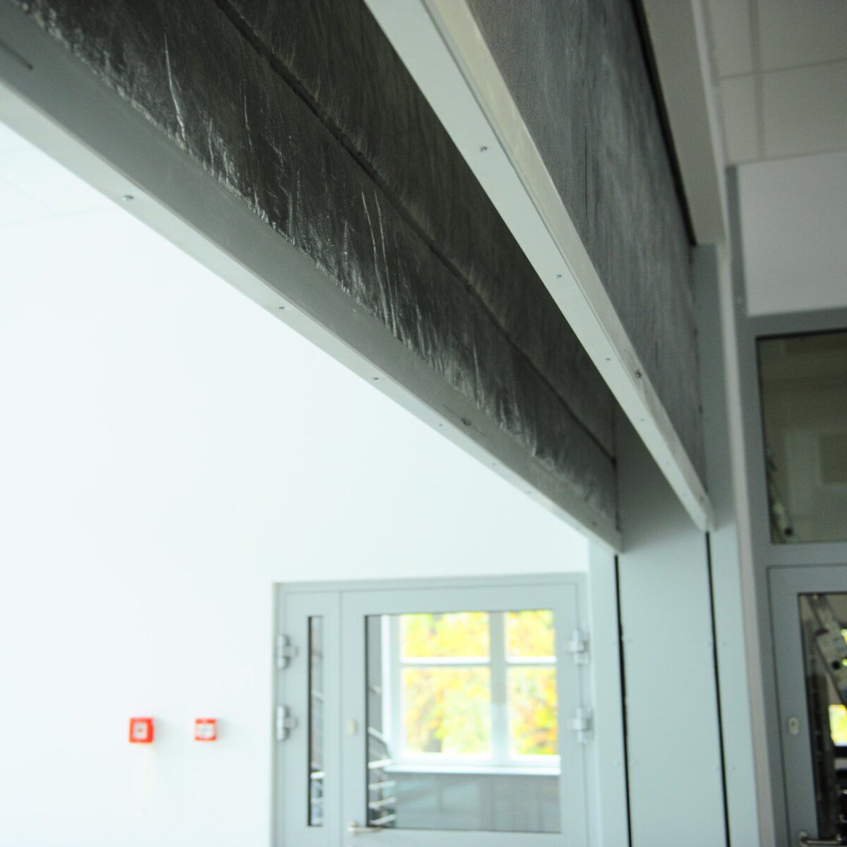 Image: No description