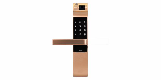 d2466-ydm4109gold.jpg