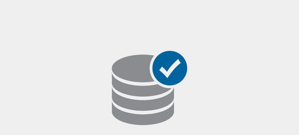 Data Integrity icon