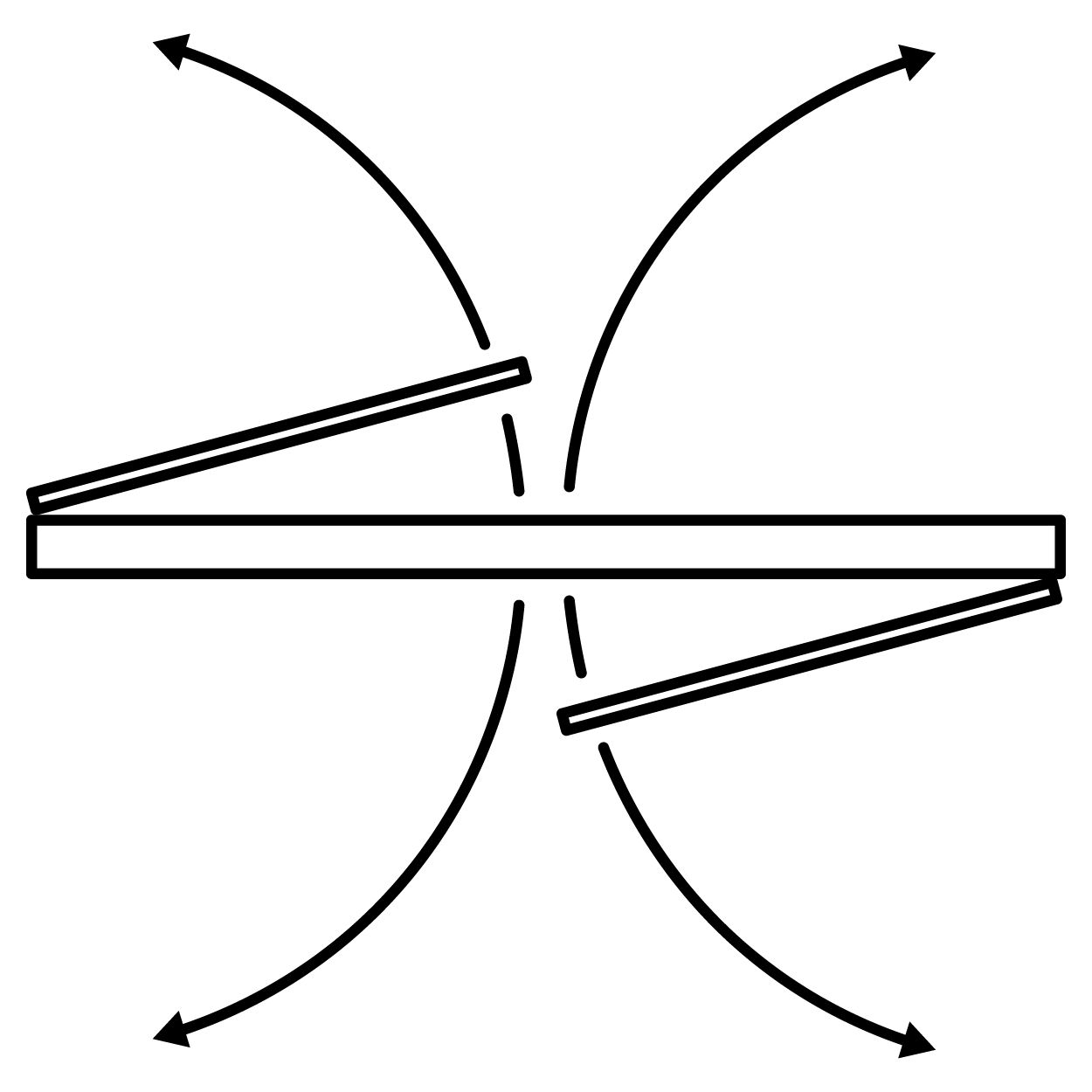 Double-Acting (Hinge or Pivot)