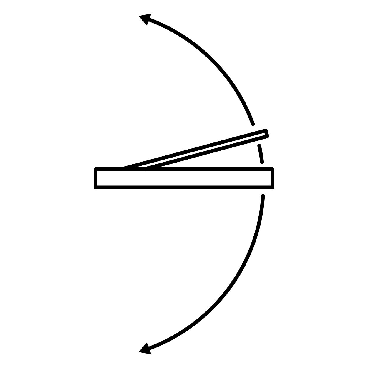 Double-Acting (Hinge or Pivot)