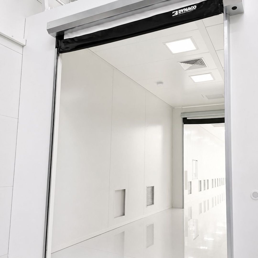 Dynaco D-313 Cleanroom CL4