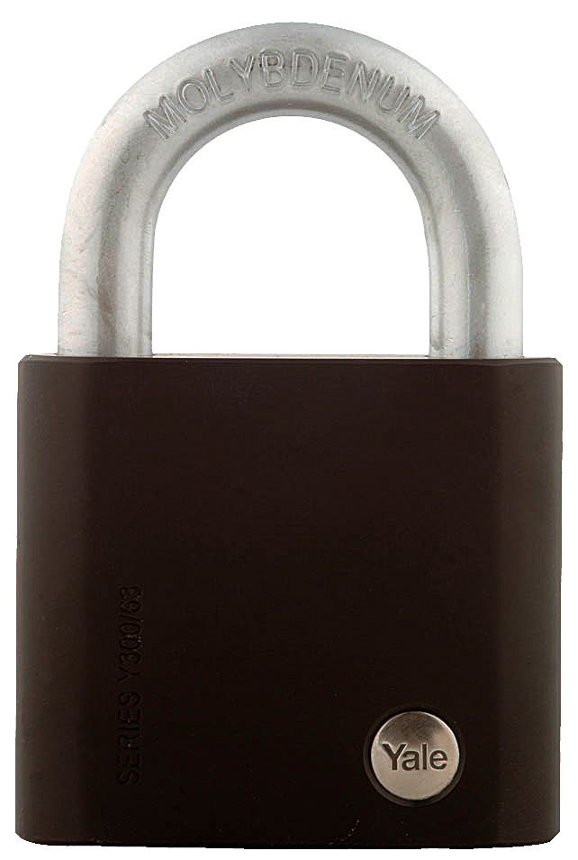 e253c-yale-y30063127-molybdenum-shackle-padlock