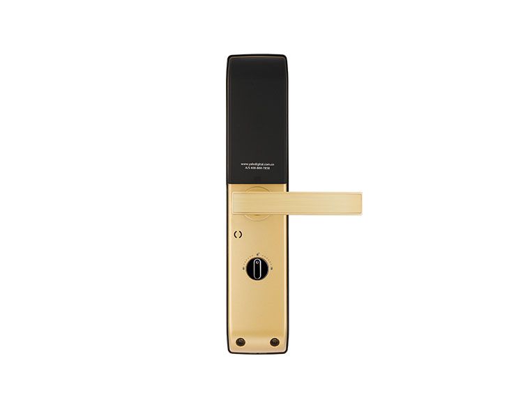 e5dbc-zen-fgoldback.png