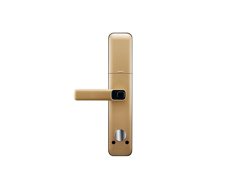 e784c-ymh71goldback.jpg