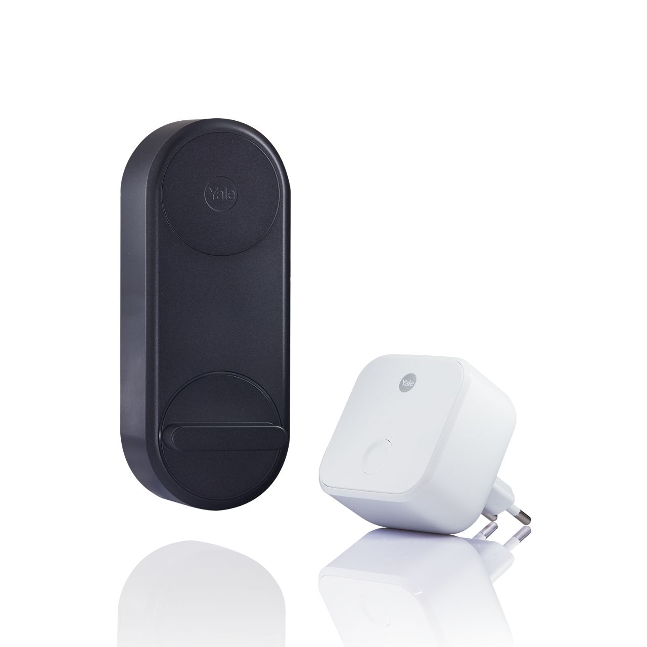 Image: YaleLinus_BK_4.png