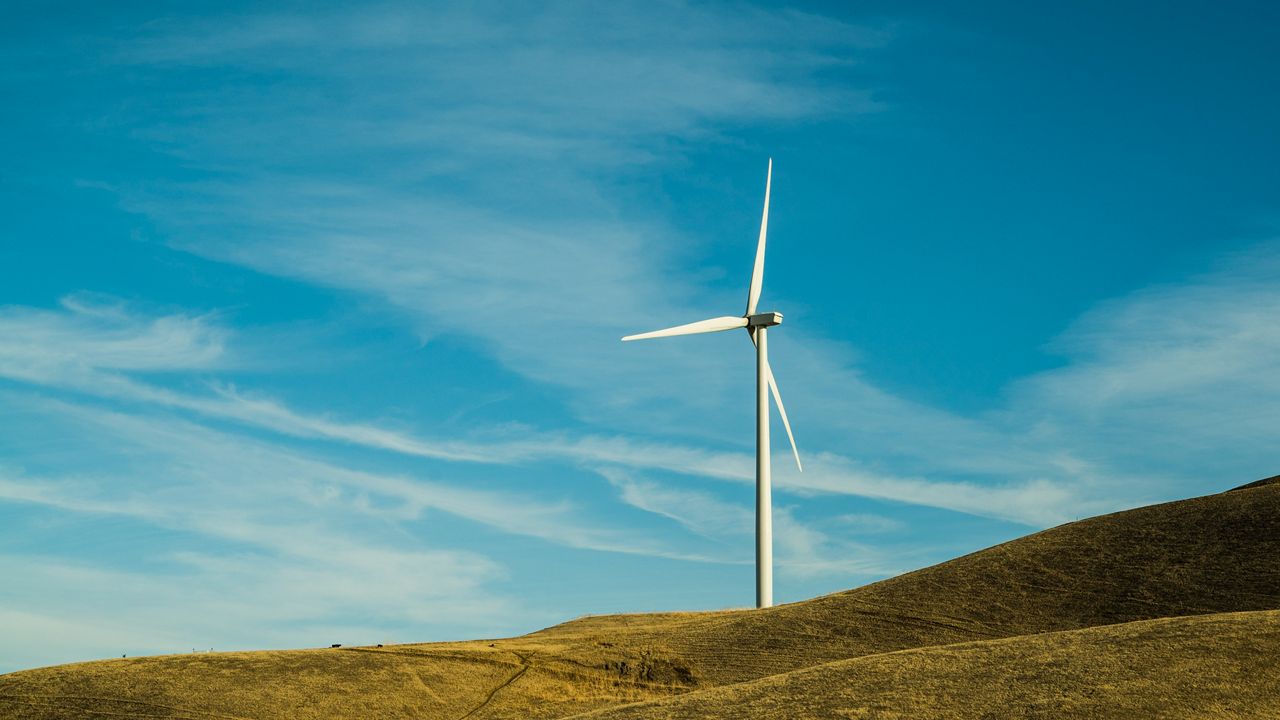 Sustainability