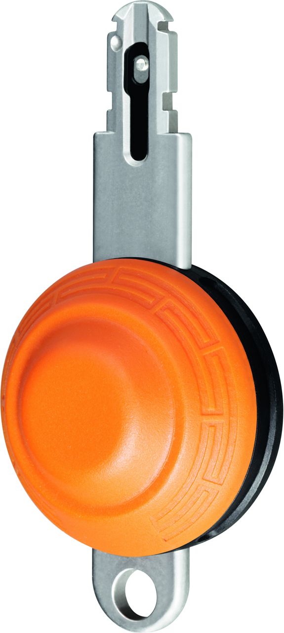 Image: f961b-ecliq_key_belugakey.jpg