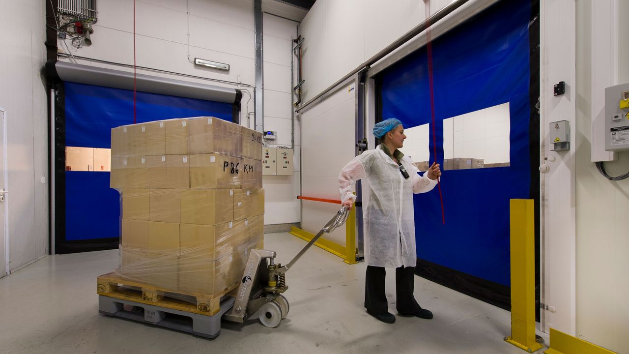 Travailleur dans une usine agroalimentaire avec une poret rapide blue 