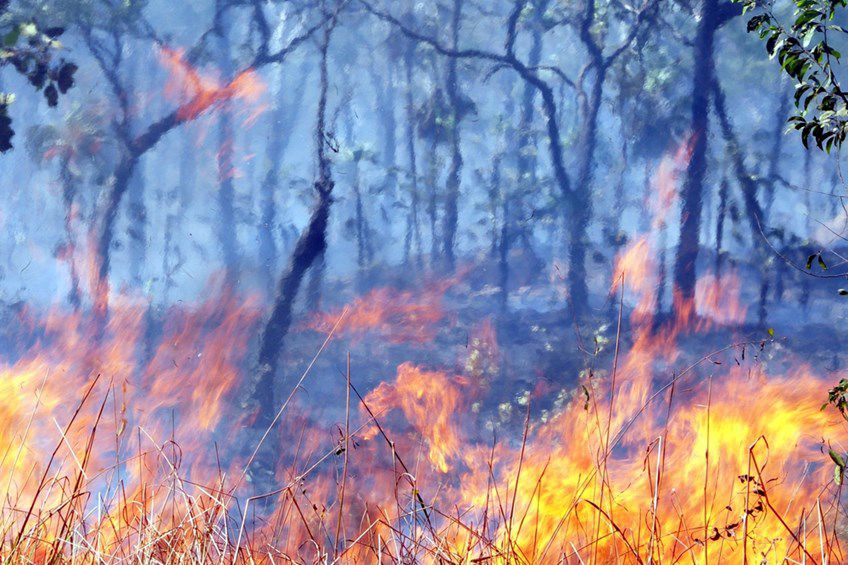Bushfire Standards & Regulations | Lorient