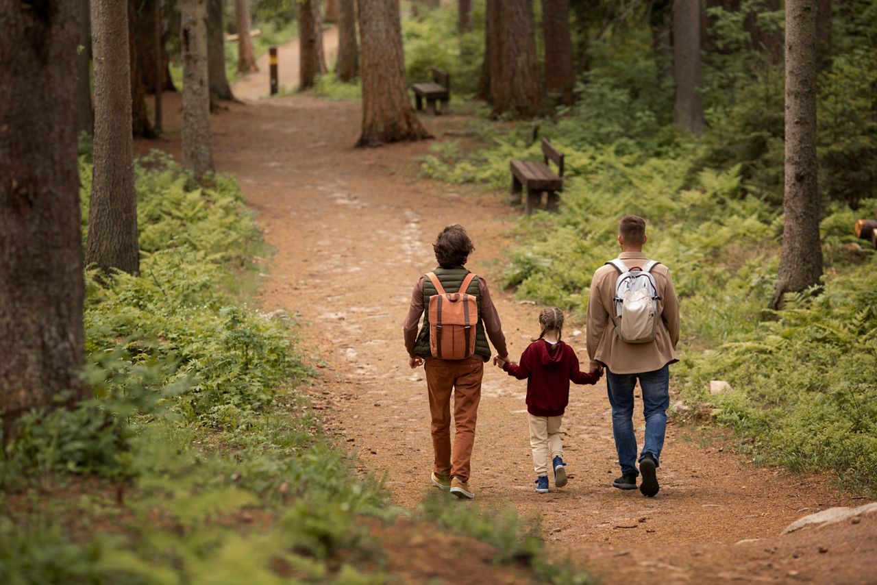 Mensen wandelen over een pad door een bos