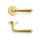 H 1037 Teseo Polished brass