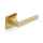 H 1068 Pembrooke & Ives Polished brass/Satin brass square rosette