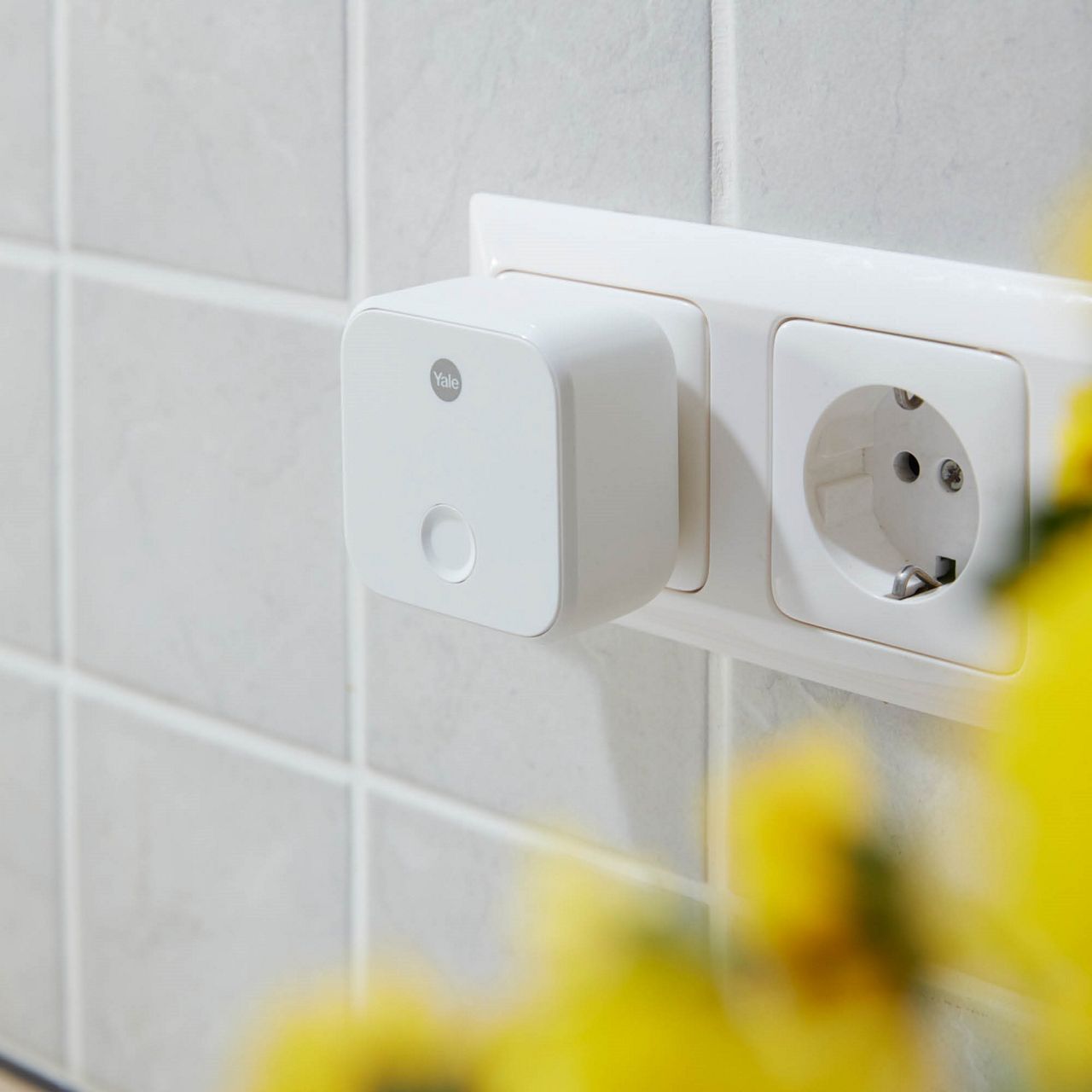 Image: No description