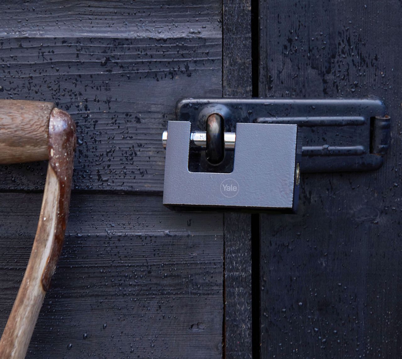 Image: No description