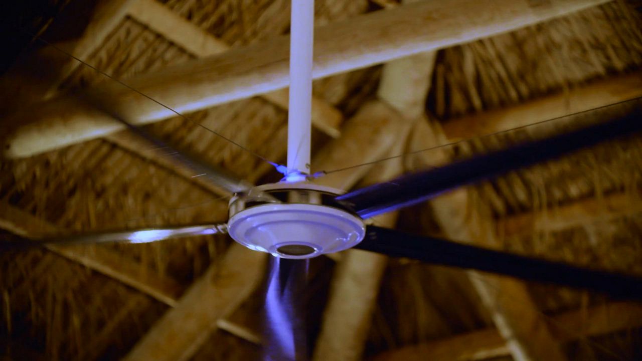 Video: A video showcasing what benefits and features are offered with the dan control system 