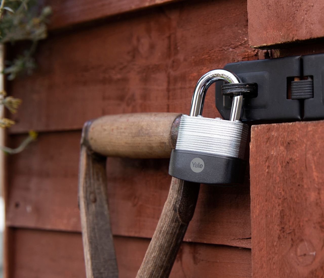 Image: No description