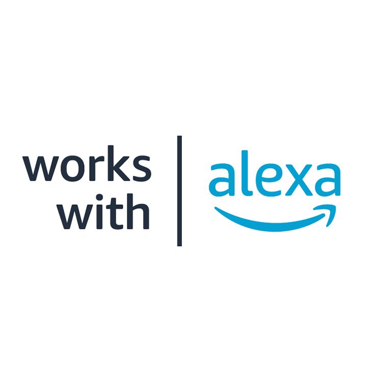 La caméra extérieure intelligente Yale fonctionne avec Alexa