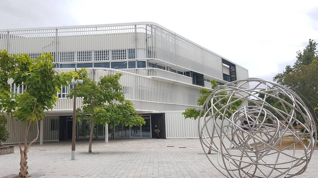Luminy University