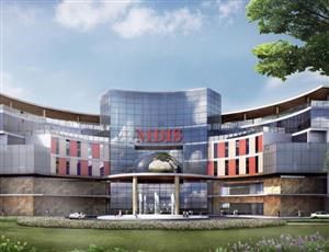 Management Development Institute of Singapore, Malaysia