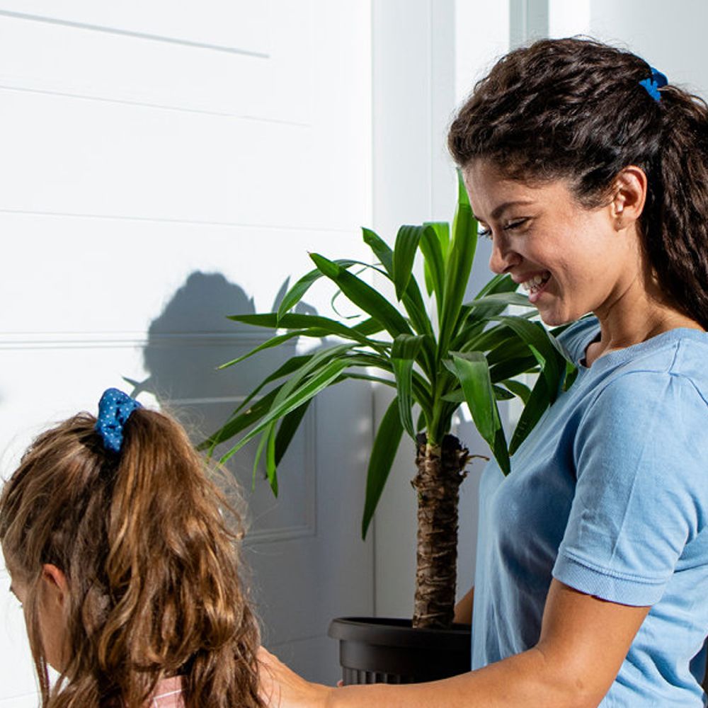 Les meilleures solutions pour protéger votre nouvelle maison ou votre bien en location