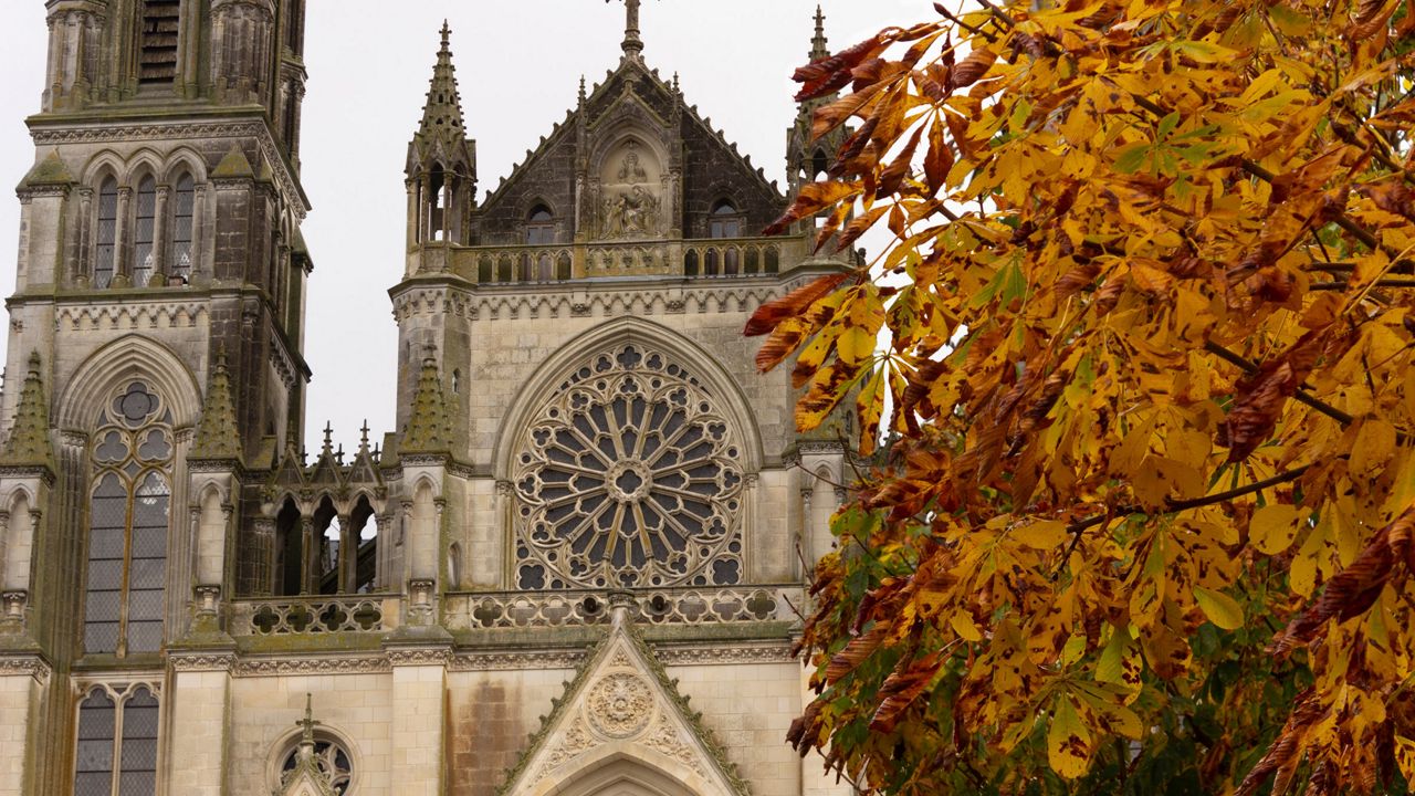 Notre Dame de Montligeon
