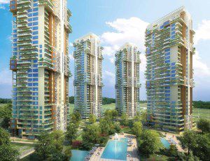 Pioneer Araya, India
