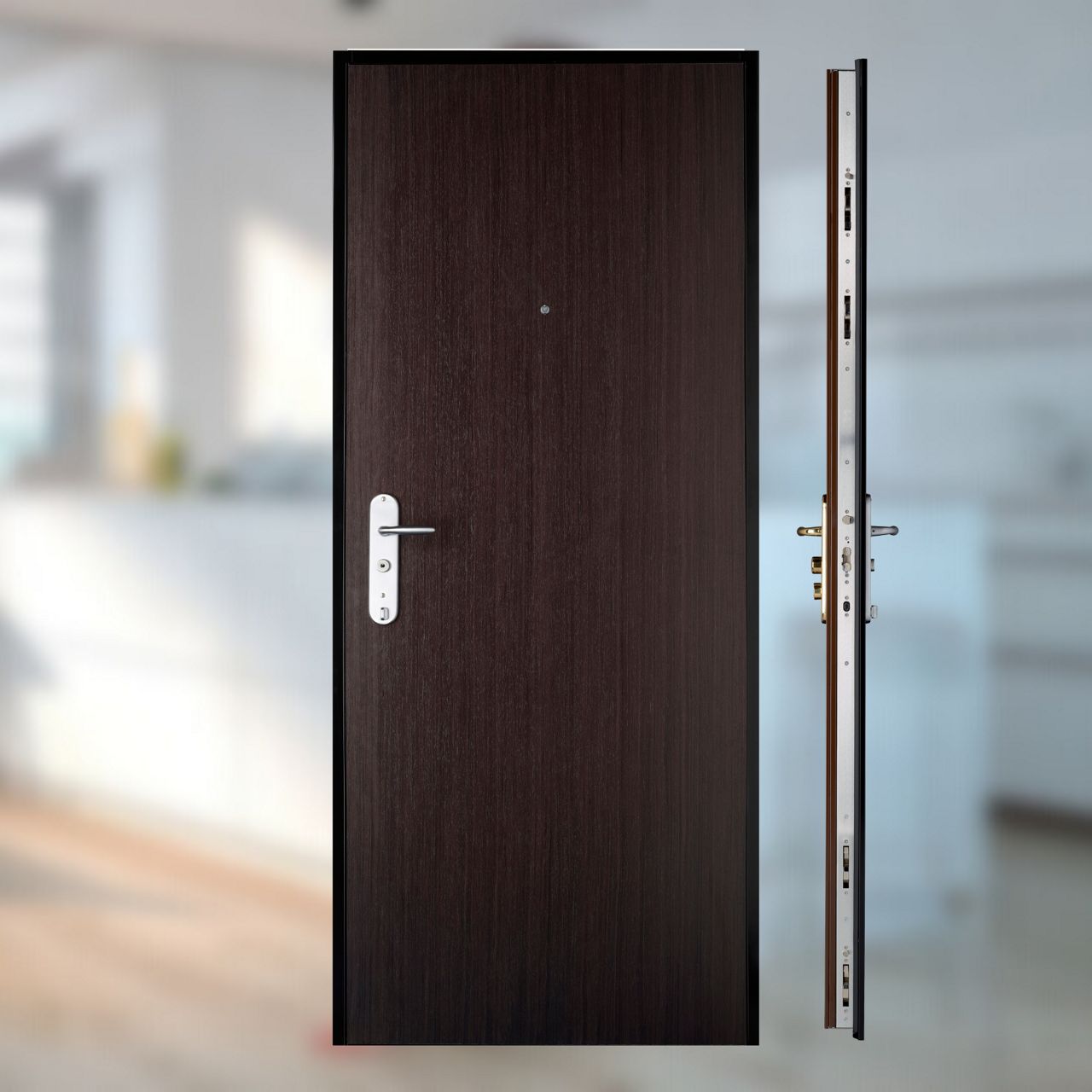 Porte blindée Fichet d'appartement modèle Spheris HiS