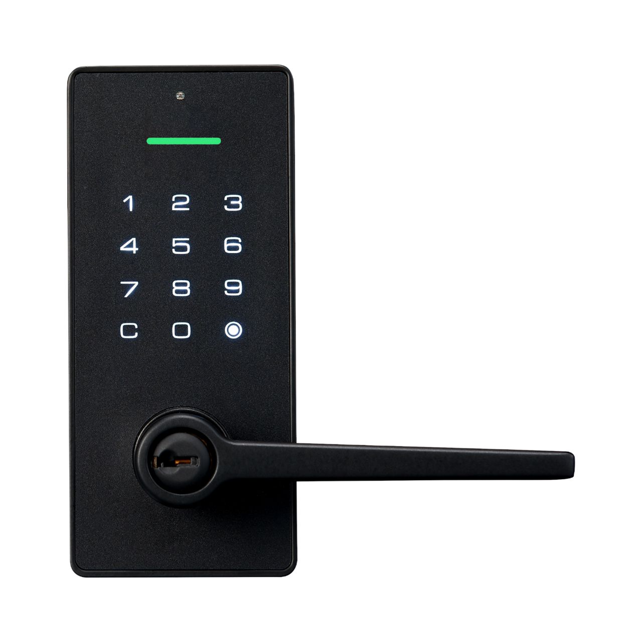 Lockwood SecureTouch Keyed Digital Lever Exterior View