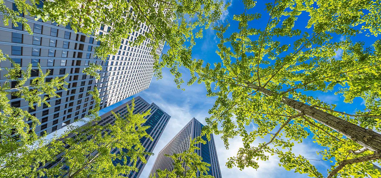 Edificios de gran altura y copas de árboles verdes contra un cielo azul.
