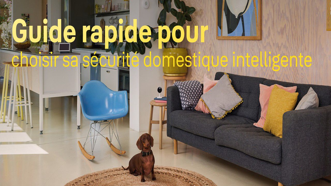 Systemes de securite pour la maison intelligente